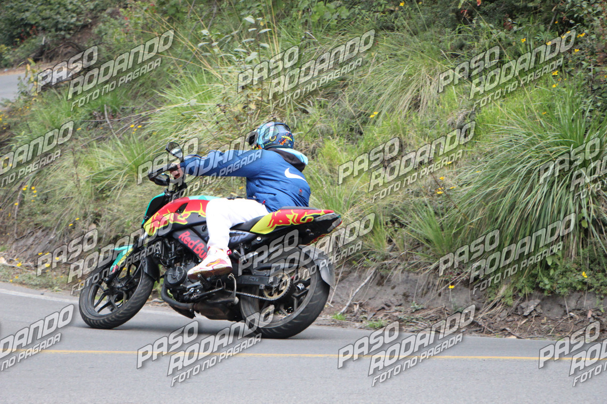 IMG 0138 wm 18245890 1 watermarked — Postimages