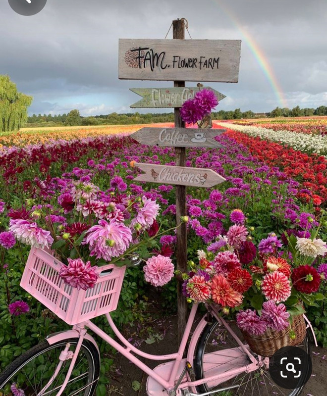 Screenshot_20240209_213346_Pinterest