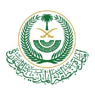 شريك 2
