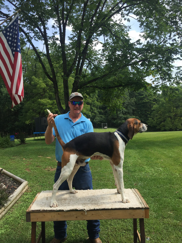 D1B21AC7-336C-4148-BC45-813C7A41AFE4