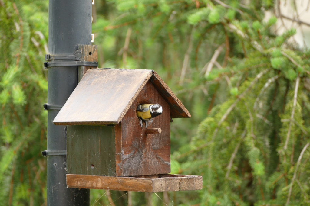 Nichoirredimensionné