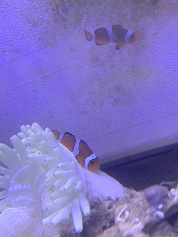 33CB0300-B0E5-4625-B0D0-888FA297E576