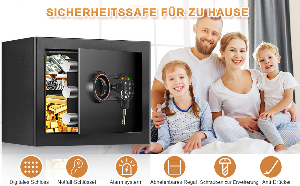 25EH Safe - Detail 1