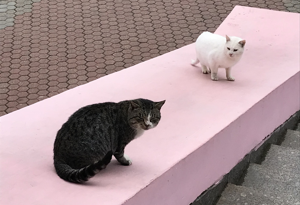 1D8F7FCC-F062-44C1-9E54-E55E48BF966B