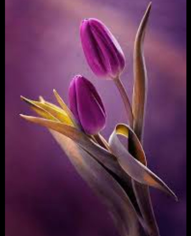 ٢٠٢١٠٦٢٦_٠٠٣٥٢١