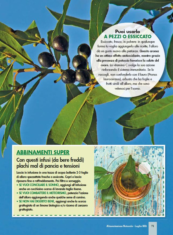 Alim Nat Lug 2021 (12)