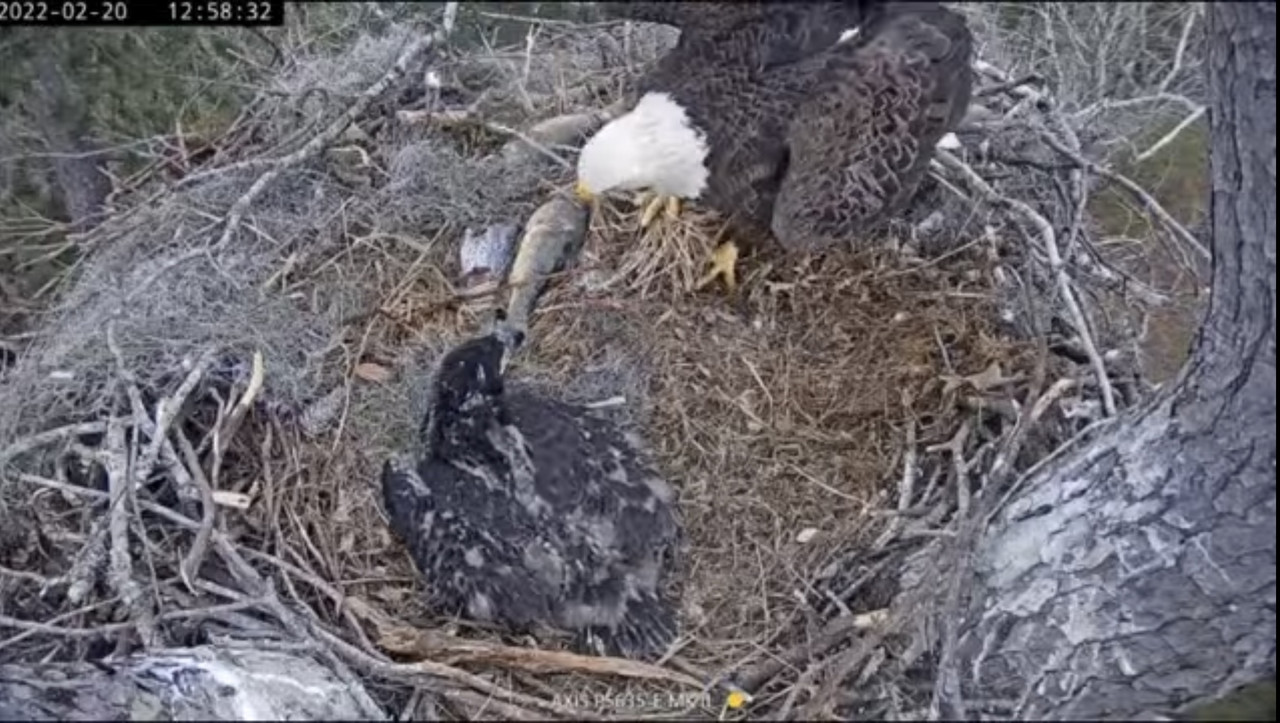 C878BA4F-3EE4-4440-92DC-2A1EB80D2B11