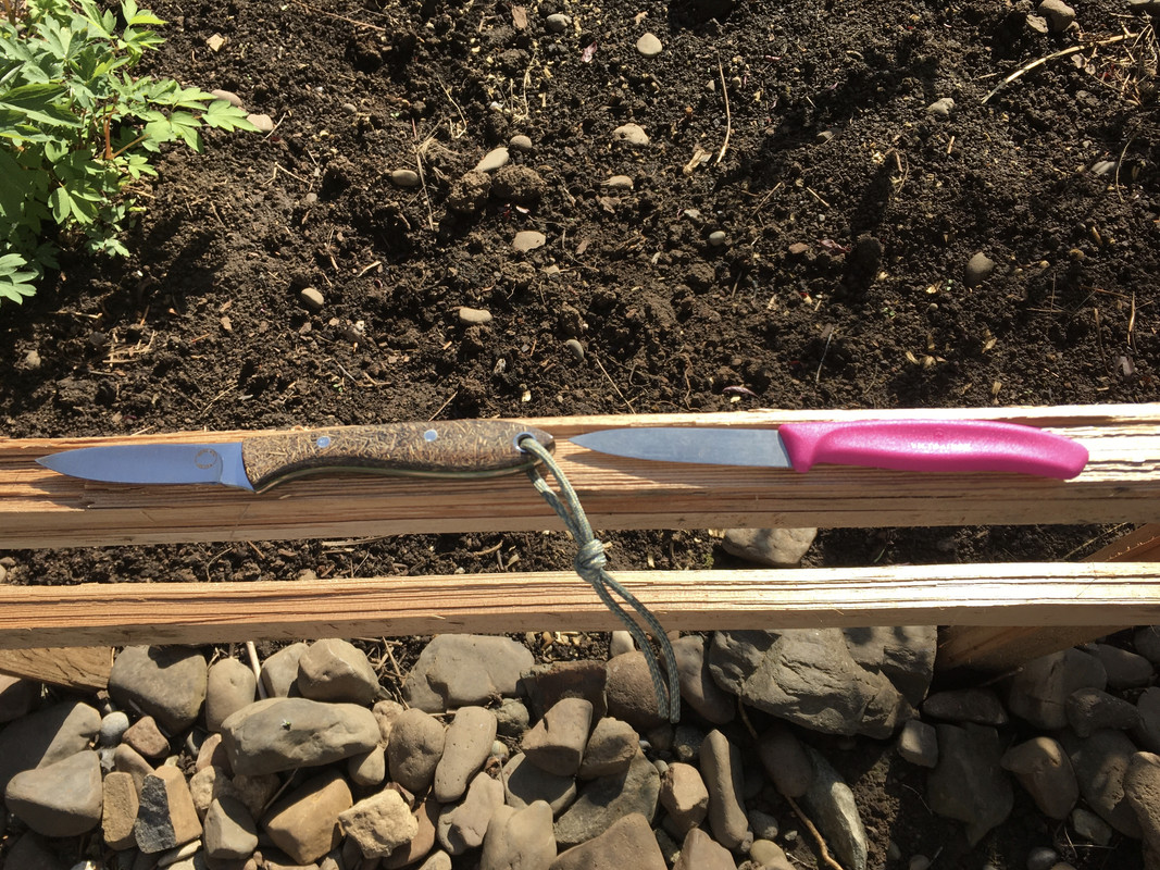 289EB848-5C58-4FD8-A800-0BDF21EAAD2F