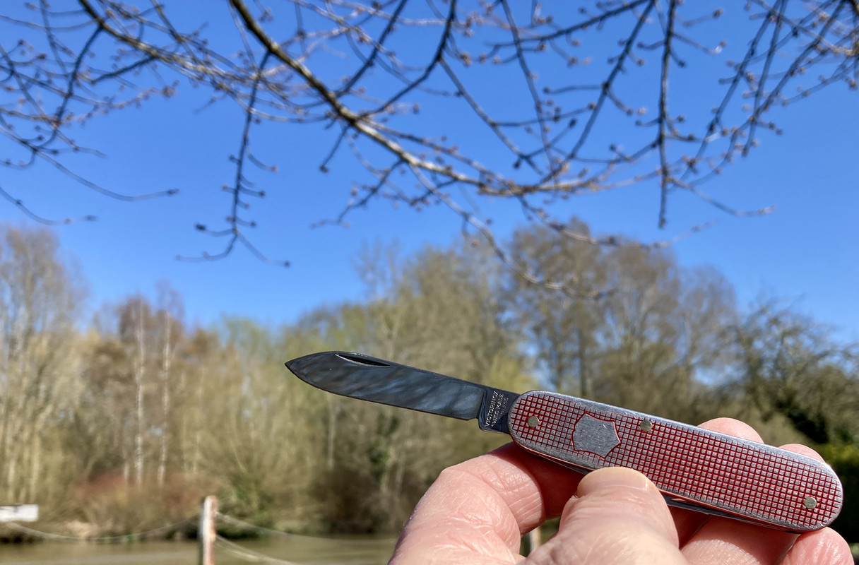 374B8C56-68AF-453A-BAE4-5CBBCE5CC688