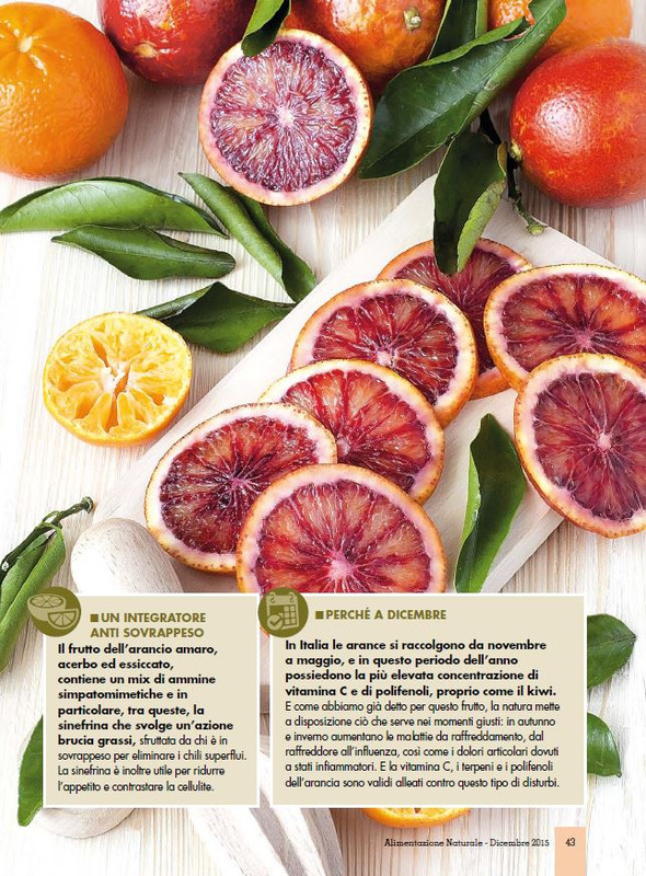 Alim Nat Dic 2015 (6)