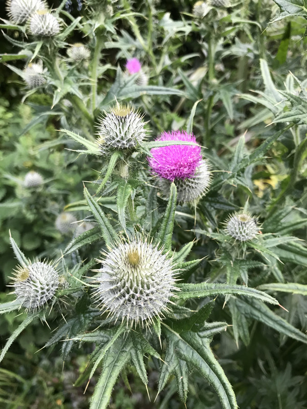 26D1BAC3-D70A-40A3-9660-FAC80E3696A2