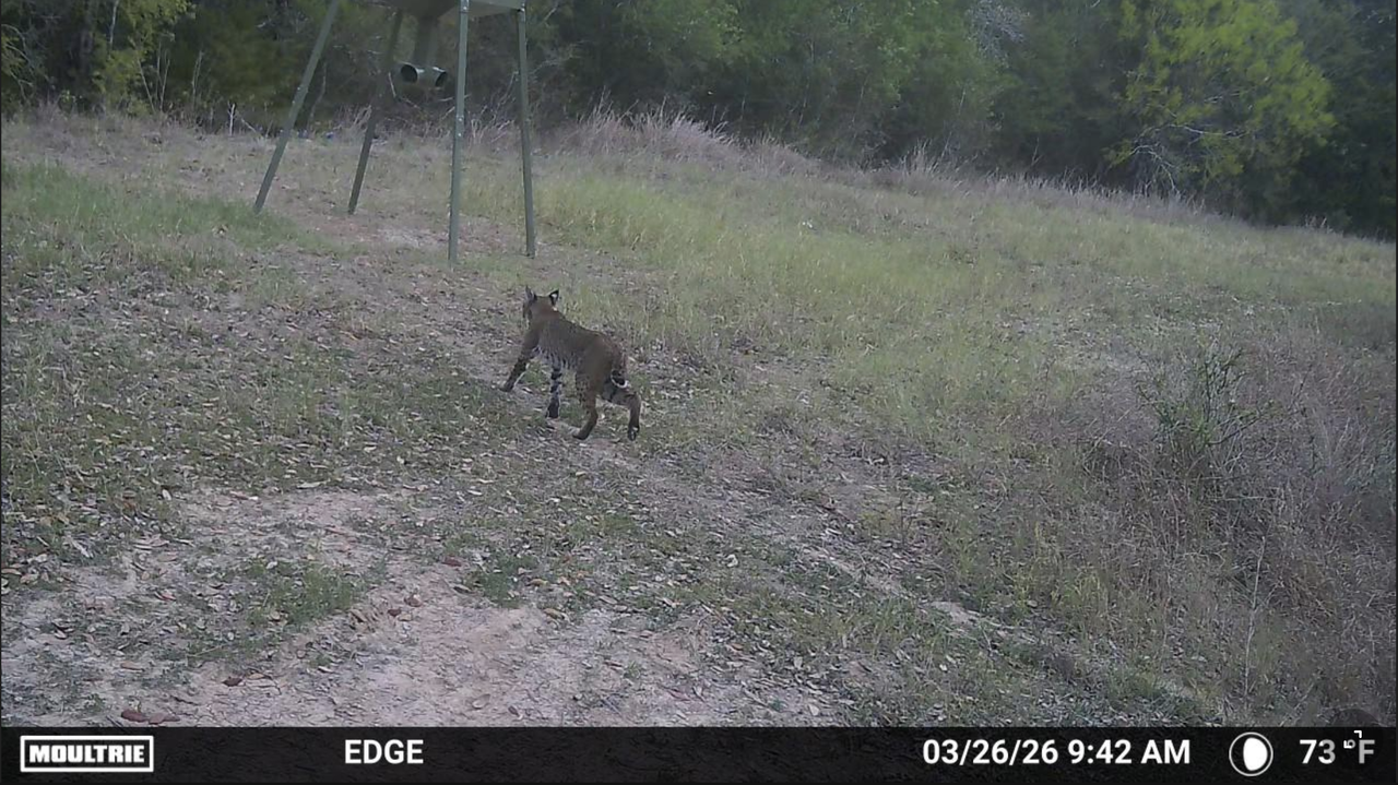 Screen Shot 2026 03 26 at 10 14 28 AM