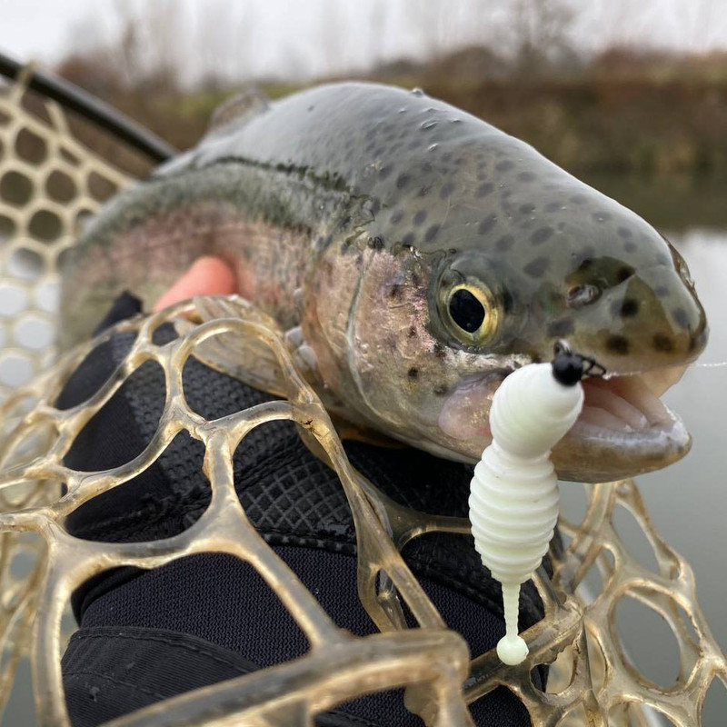 Fresh Lures, trout fishing lures, trout fishing lures plastic,