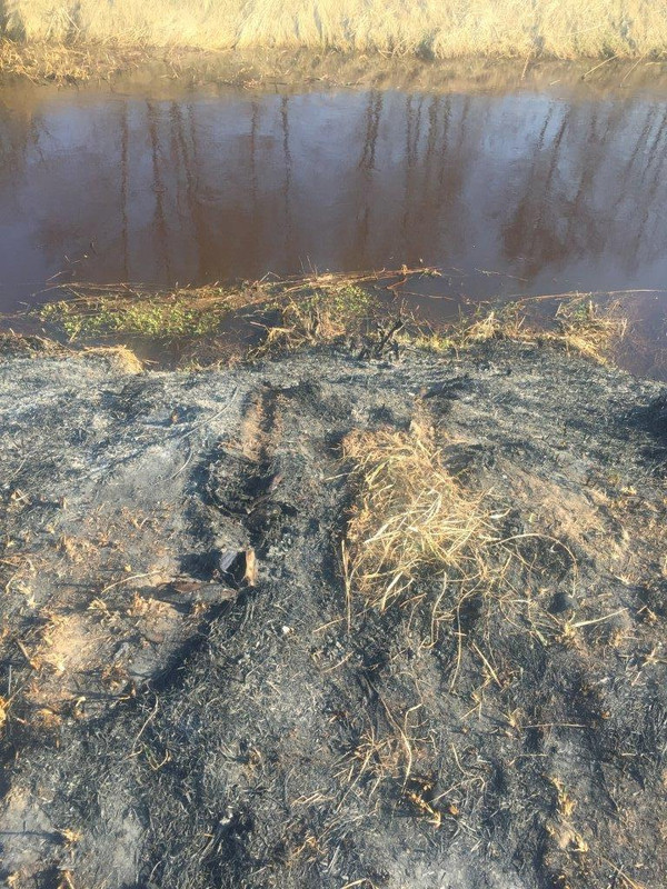 Подпись: Обугленная земля в месте поражения электрическим током рыбака