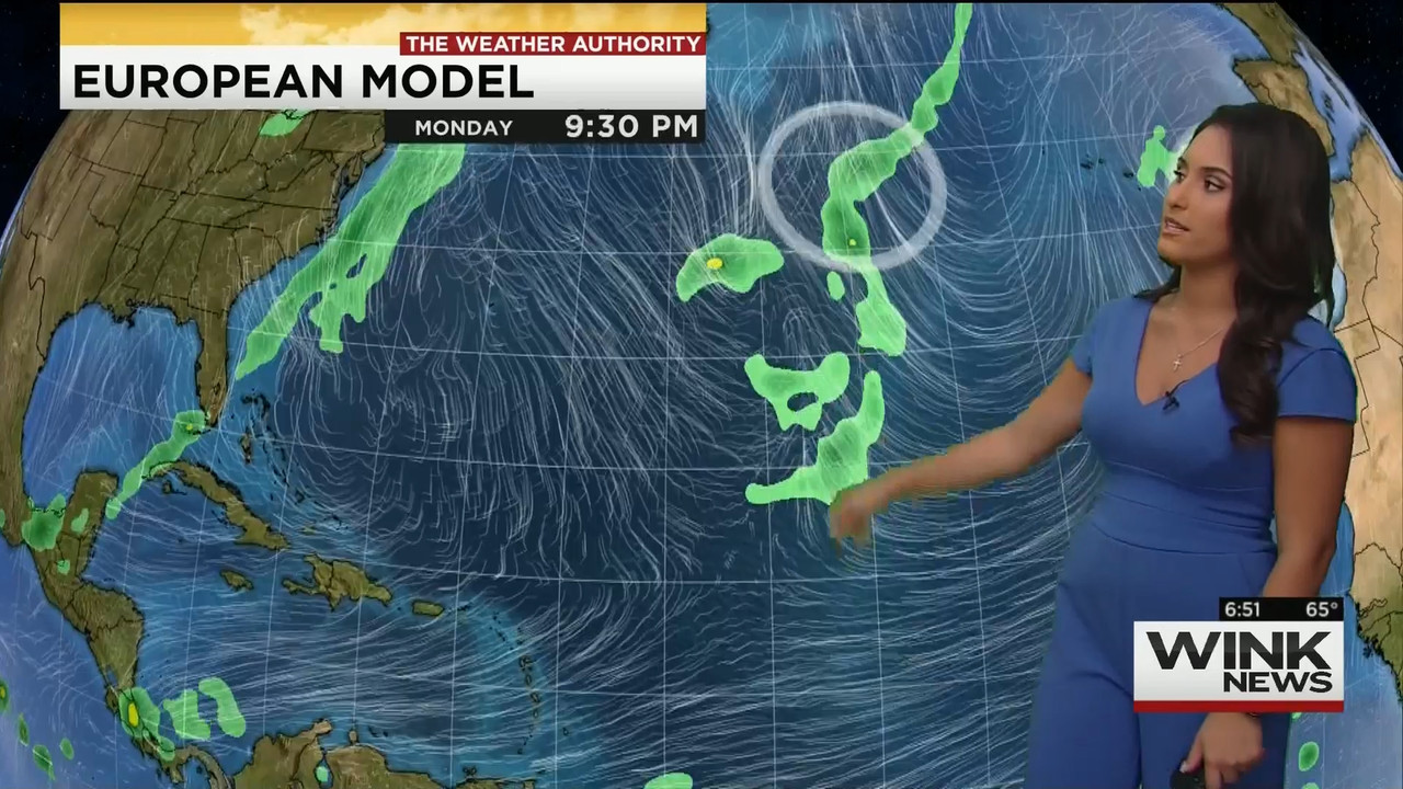 11.28 - 11.00.00 - WINK News This Morning..ts_snapshot_52.21.004