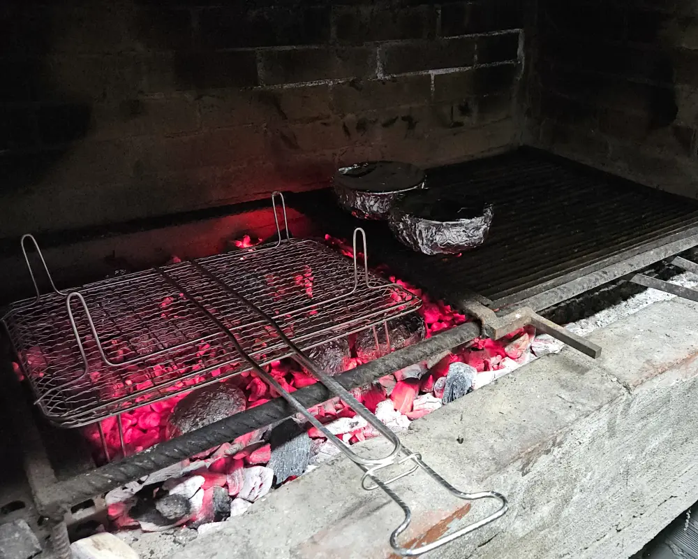 Grilling some meat
