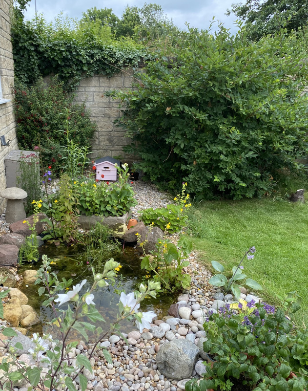 7AFC81E1-BA0A-478C-BD28-BE8F38FCE1FB