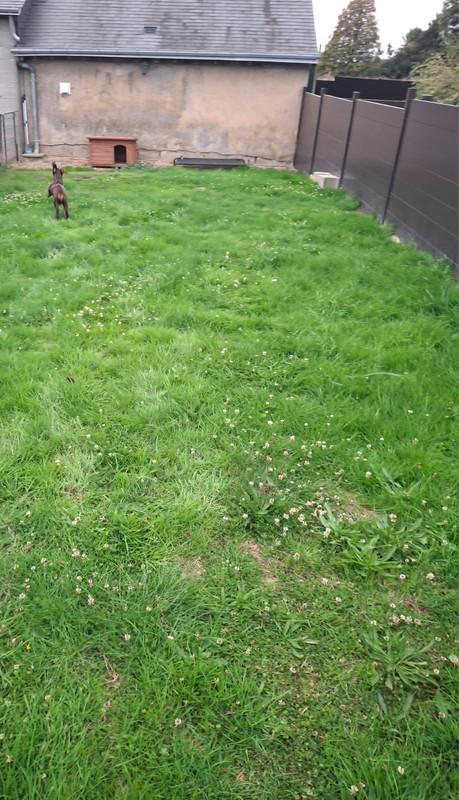 [Image: IMG-20250923-193008.jpg]