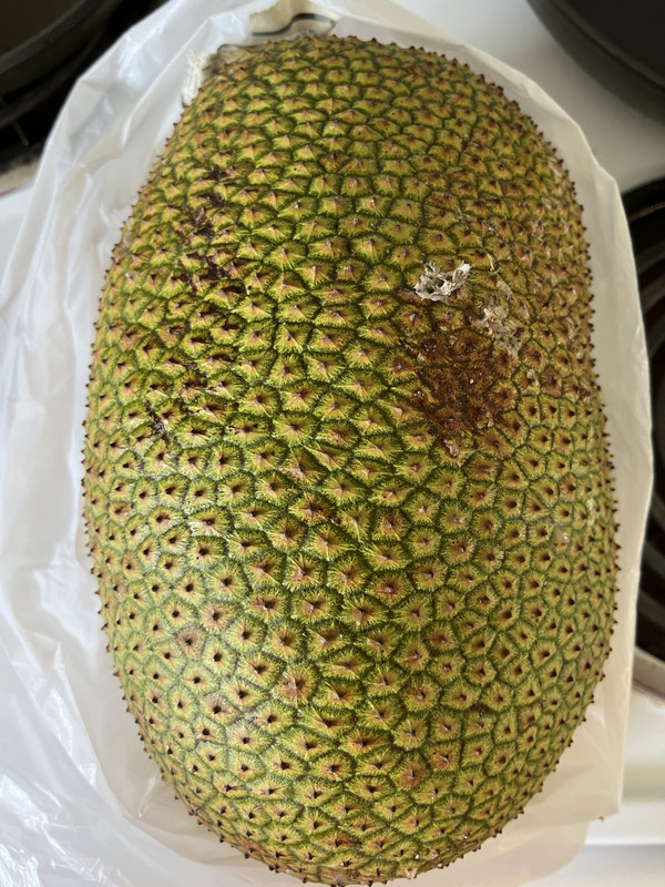 F7A02DA4-D9C7-4205-8B1F-74D01A580C16