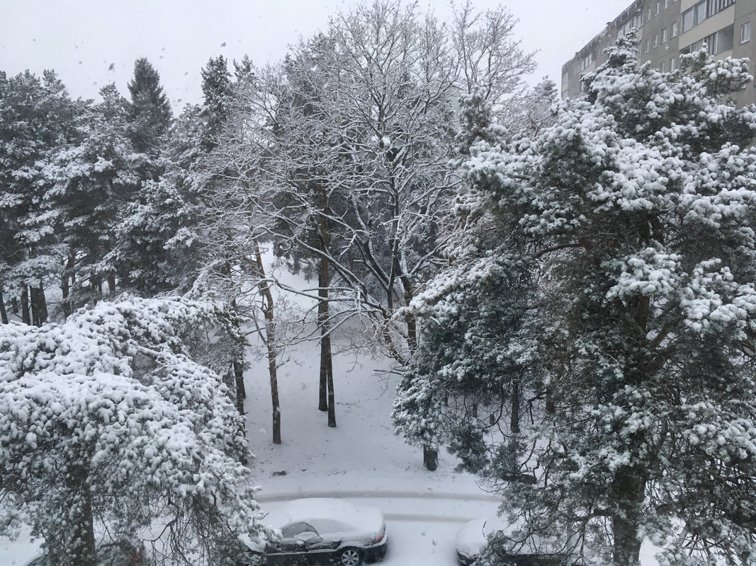 EE62FC0F-363F-4D7E-80D7-B8EA3C718E4A