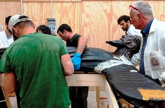 Che cosa sta rivelando il Volto Santo di Lucca dans Articoli di Giornali e News Volto-Santo-Lucca-2024
