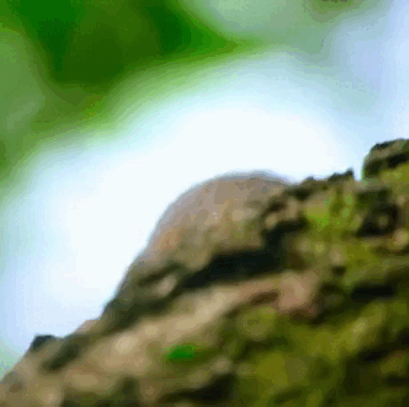 https://i.postimg.cc/QtxYgd2V/3.gif