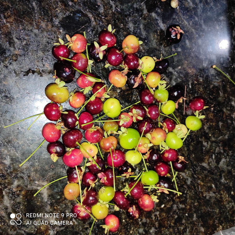 WhatsApp Image 2020-12-20 at 13.41.20 (14)