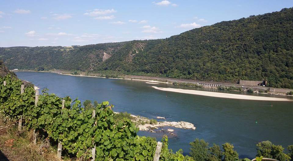 FB_IMG_1471466444506