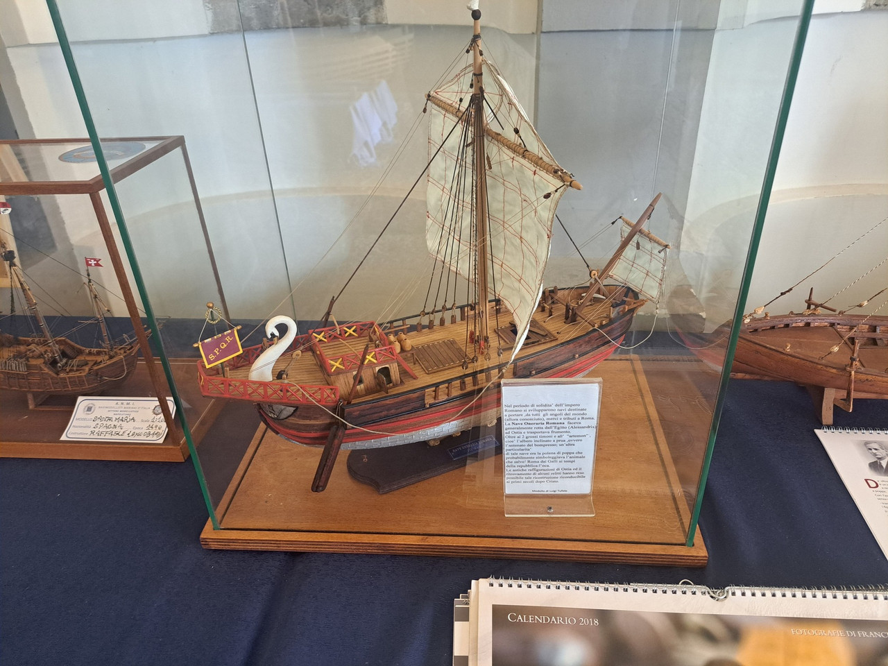 666006821 1881971275924131 4515458276035034045 n