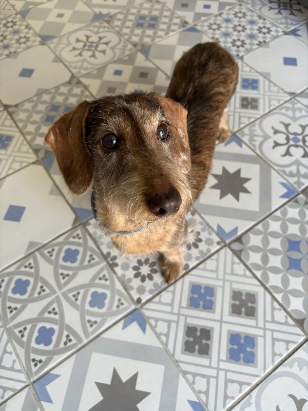 [Image: IMG-0163.jpg]