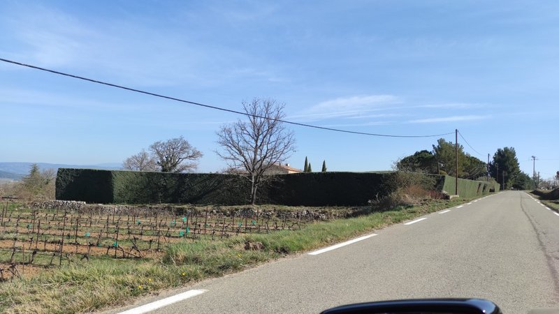 Déjeuner à Lourmarin - Page 2 Thumbnail-1648212572054