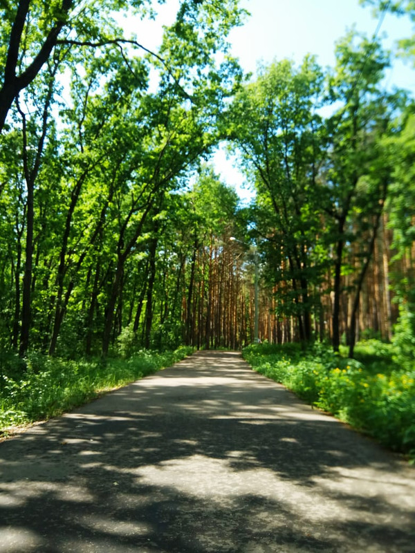 9F976CC1-2149-4E55-85E2-21F3554A86A3