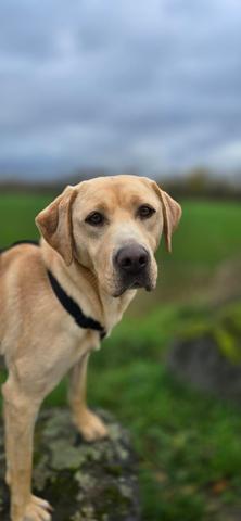 3258eac0 4104 4489 a5f4 0f785e010ee7