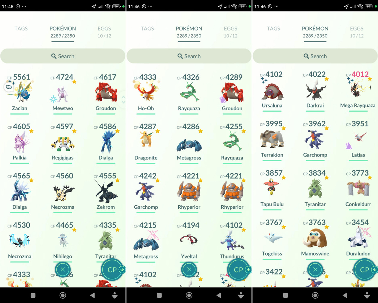 Polish 20260224 115456426