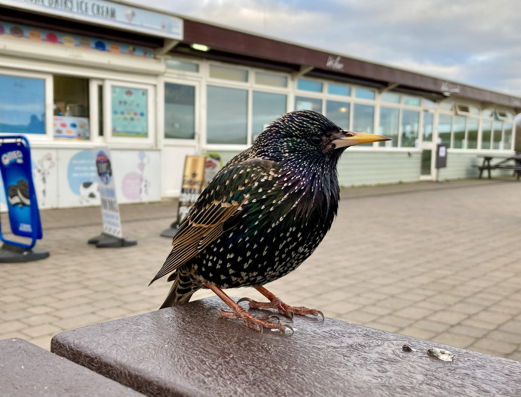 782D10AF-A17B-45D9-9095-6794A51654B5