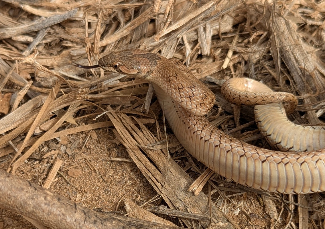 PXL_20250418_094903237.PORTRAIT.ORIGINAL