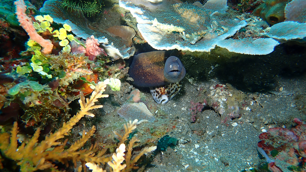 93AEBB89-274C-4218-BB25-09EBA5F2883C