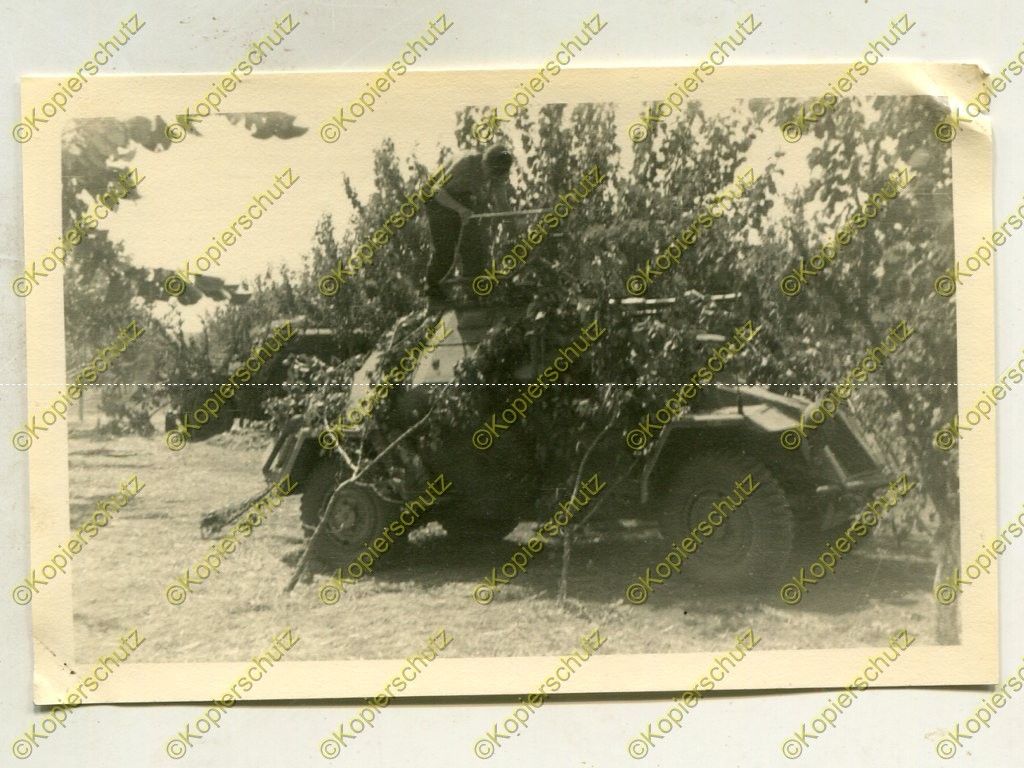 Pz.Nachr.Abt.16, getarnter Panzerspähwagen, Sdkfz, Lubny, Russla