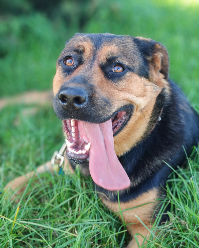 7T6p05B16t Fpih Gt HI2XV69JCJNm KLBHr u19ZEt H0g Uass5yde YK2Kbcoq ZZlu S9vc7k APj46WUHKSosou Ik1c