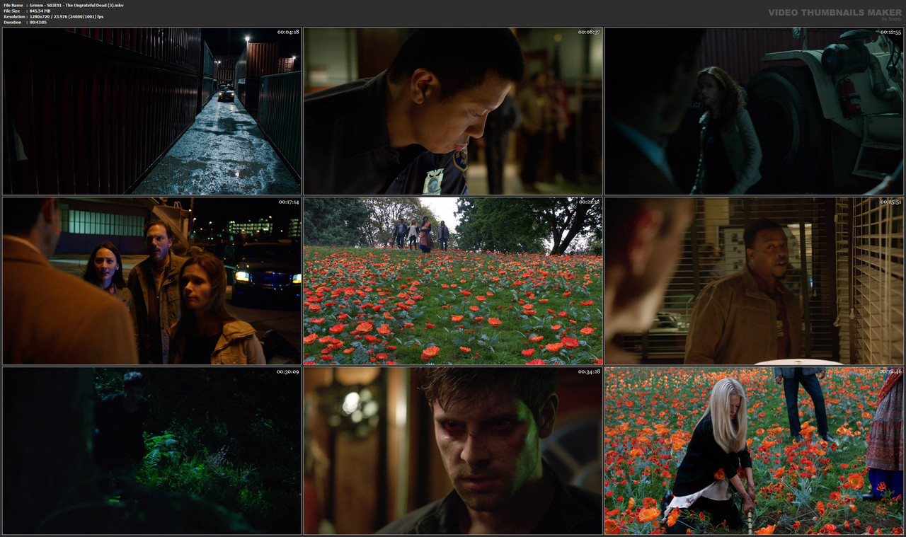 Grimm - S03E01 - The Ungrateful Dead (3).mkv