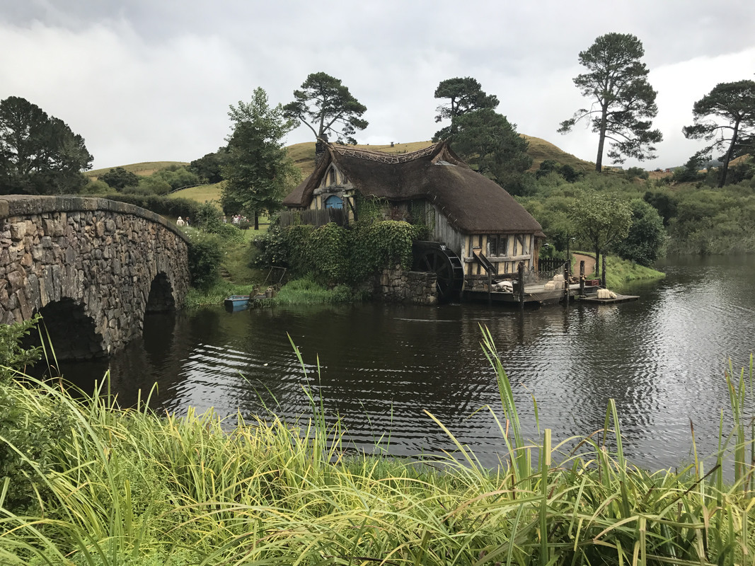 NUEVA ZELANDA , SUEÑO CUMPLIDO - Blogs de Nueva Zelanda - Hobbiton -aeropuerto de Auckland  -  Vuelo a Sídney (1)