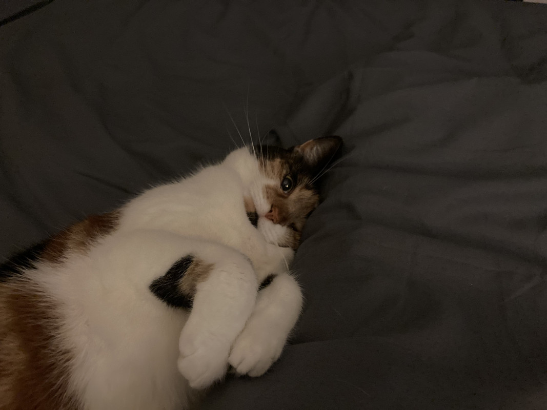 8FDBA10B-52F3-4401-8FEC-3A319F741F98