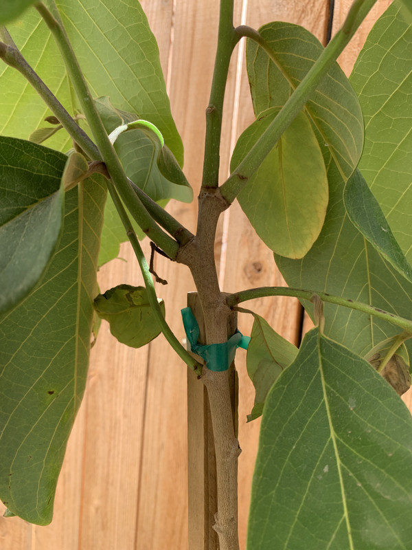 890A90A2-A4F7-43B8-AD3B-26A96D872CBF