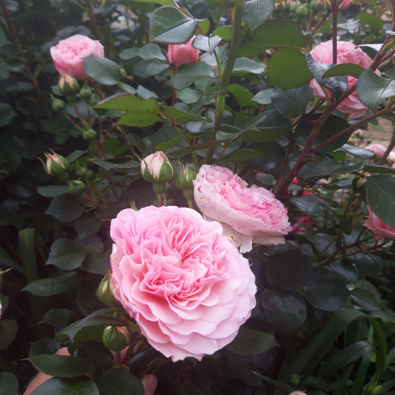 20190610_103634