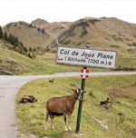 GIUGNO 2021, DI GIRO IN TOUR