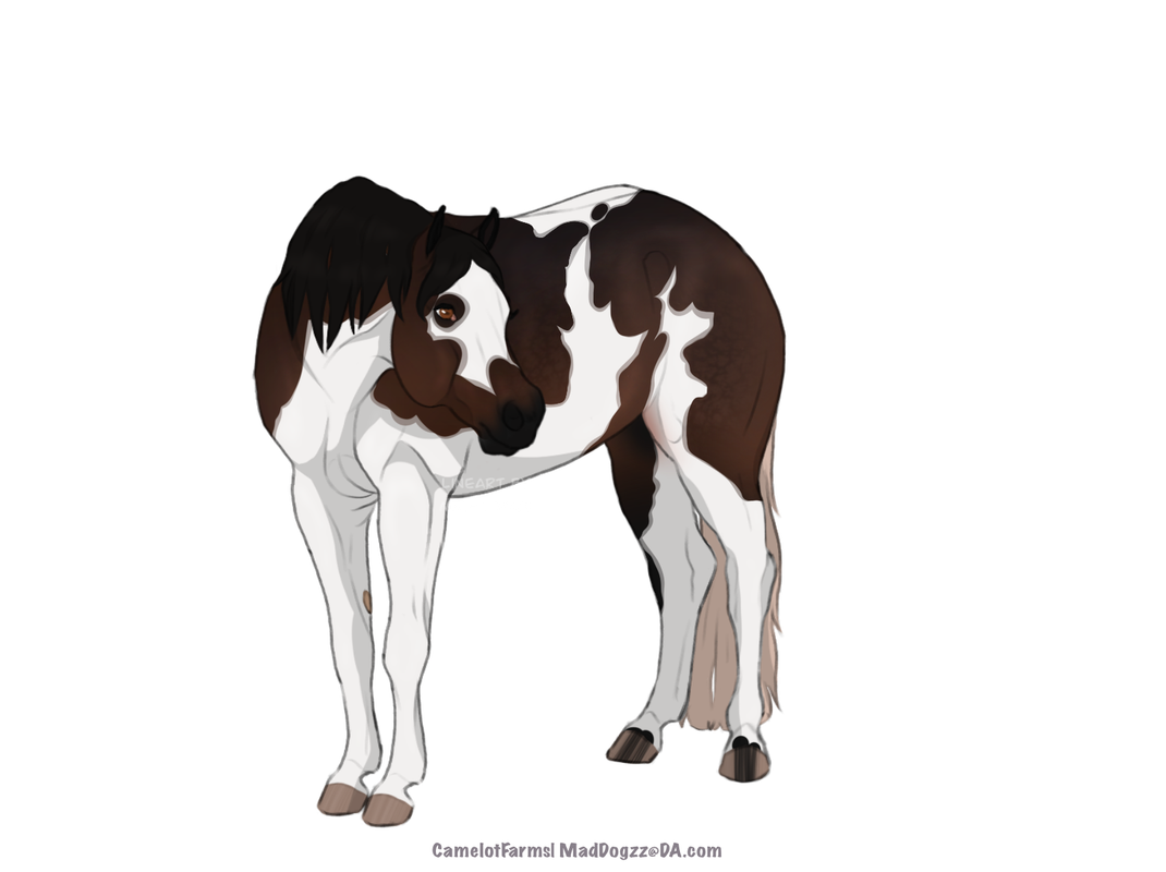 818-B324-E-7-D5-D-4-E1-F-952-F-BB28803-E73-B2.png