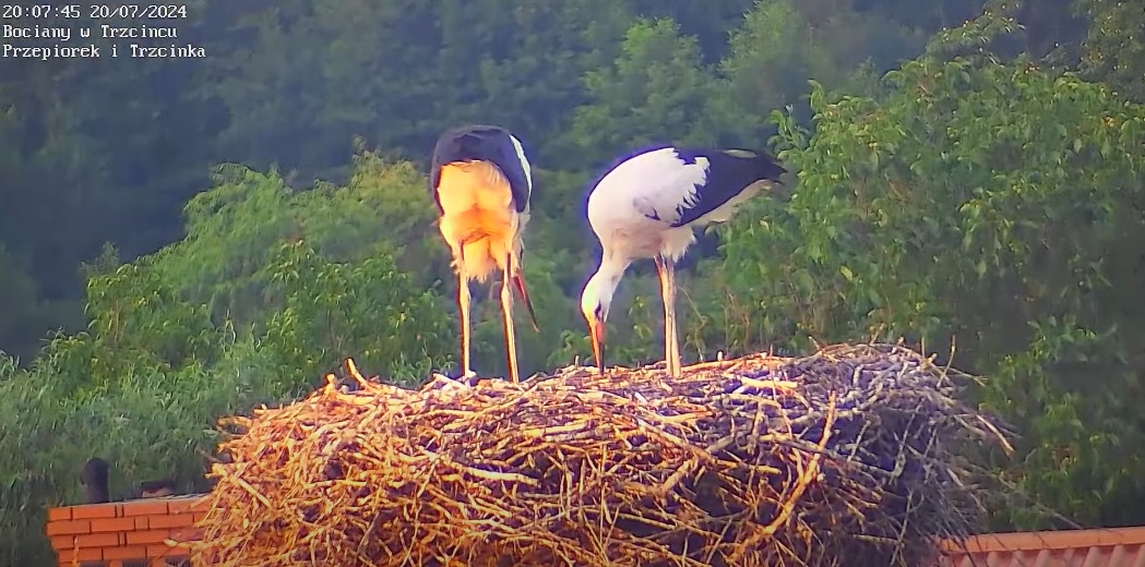 kuperozachodzieslonca