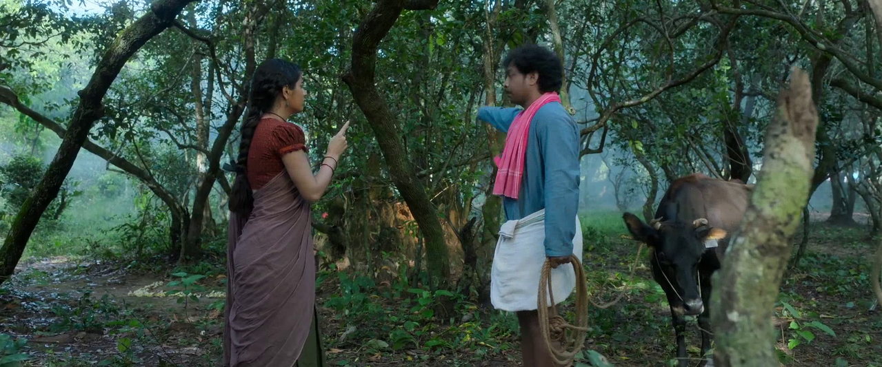 vlcsnap 2026 02 14 10h11m57s380