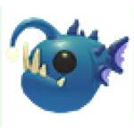 Angler Fish