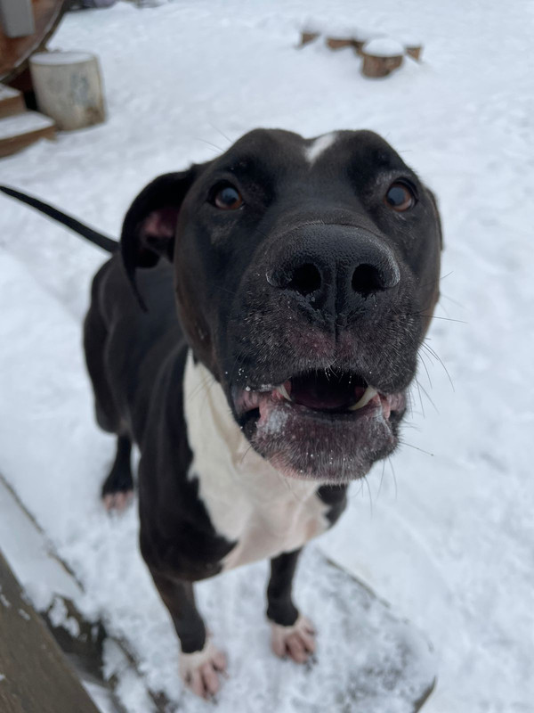 CFC1E95B-A6D1-4316-9CB4-4C4A1905BCC0